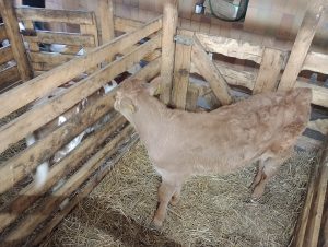 IMG_20260519_101825926_MFNR