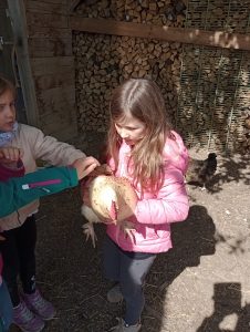 IMG_20260519_103418225_MFNR