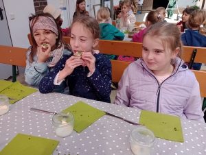 IMG_20260519_111006860_MFNR