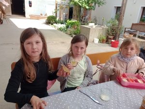 IMG_20260519_111135498_MFNR