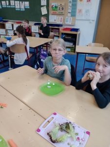 IMG_20260520_084954172_MFNR