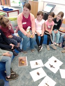 IMG_20260520_100302917_MFNR