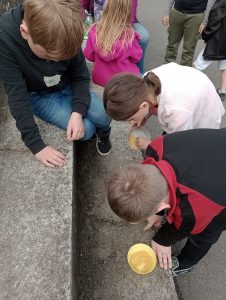 IMG_20260520_103512772_MFNR