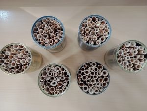 IMG_20260520_111940161_MFNR