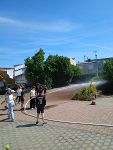 IMG_20260608_113508469
